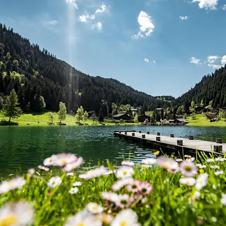 Cosy A Chatel, 100m Des Pistes, 4 Pers., Terrasse Sud, Equipements Cuisine Complets - Fr-1-676-185 Apartment Chatel